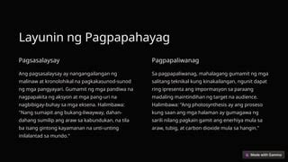 nang sumilip ang pasas na pangarap sipsipin